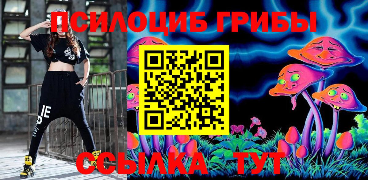 Галлюциногенные грибы Magic Shrooms  Вход с VPN  Галлюциногенные грибы GOLDEN TEACHER  Юрга 