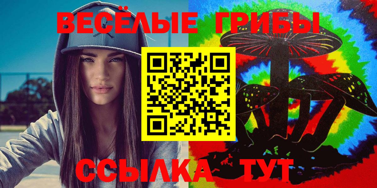 Псилоцибиновые грибы MAGIC MUSHROOMS Юрга